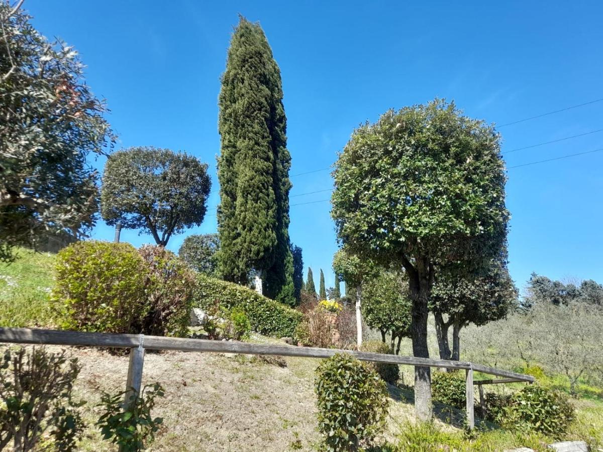 Villetta Dei Lecci Castelfiorentino Bagian luar foto